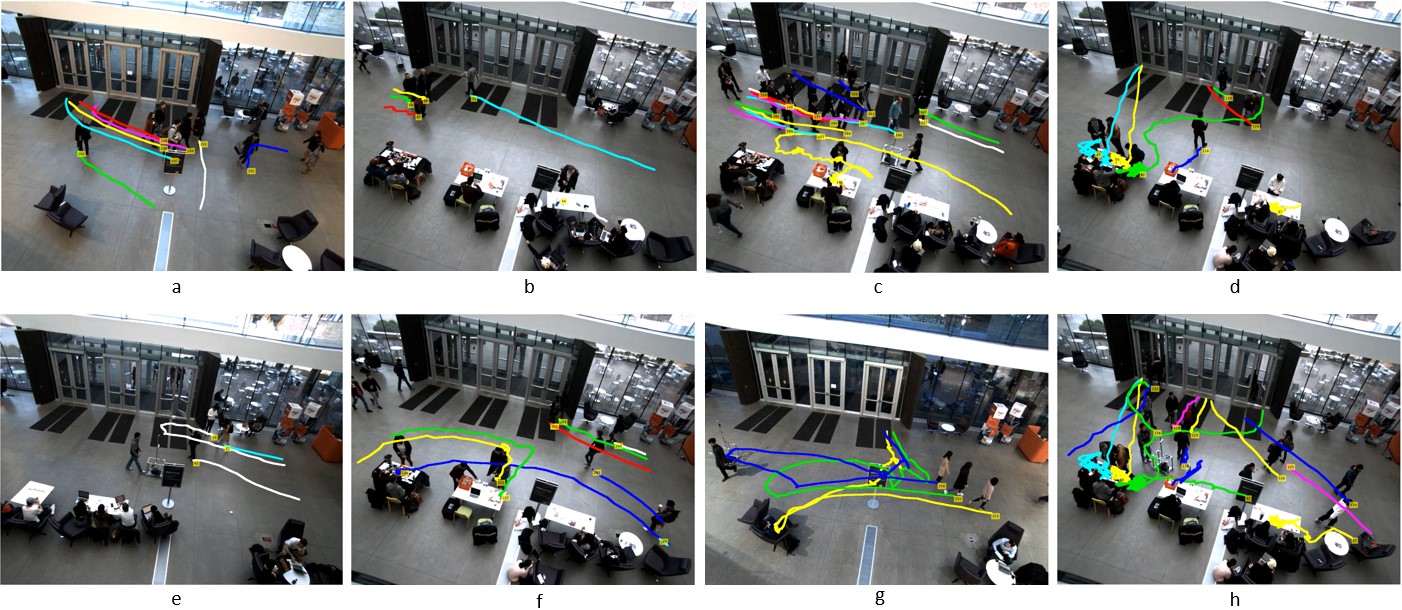 Eight example images from an overhead cameras. Traces of pedestrian motion are shown on each image.